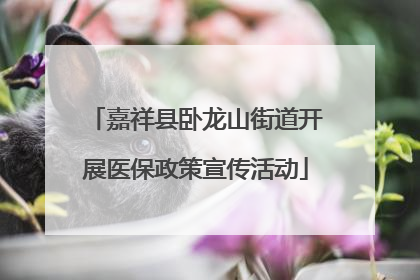 嘉祥县卧龙山街道开展医保政策宣传活动