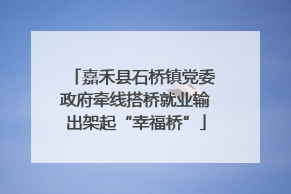 嘉禾县石桥镇党委政府牵线搭桥就业输出架起“幸福桥”