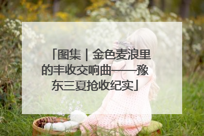 图集｜金色麦浪里的丰收交响曲——豫东三夏抢收纪实
