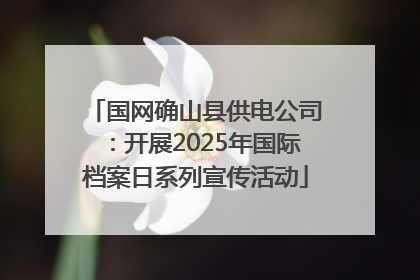 国网确山县供电公司：开展2025年国际档案日系列宣传活动