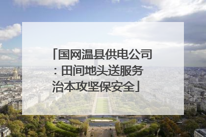 国网温县供电公司：田间地头送服务 治本攻坚保安全
