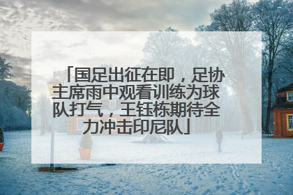 国足出征在即，足协主席雨中观看训练为球队打气，王钰栋期待全力冲击印尼队