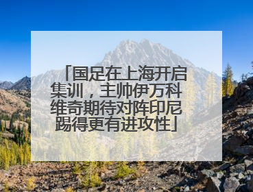 国足在上海开启集训，主帅伊万科维奇期待对阵印尼踢得更有进攻性