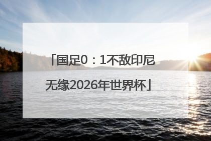 国足0：1不敌印尼 无缘2026年世界杯