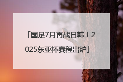 国足7月再战日韩！2025东亚杯赛程出炉