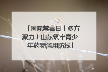 国际禁毒日丨多方聚力！山东筑牢青少年药物滥用防线
