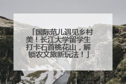 国际范儿遇见乡村美！长江大学留学生打卡石首桃花山，解锁农文旅新玩法！