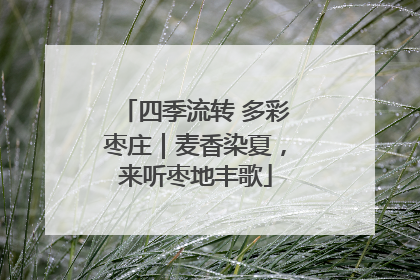 四季流转 多彩枣庄｜麦香染夏，来听枣地丰歌