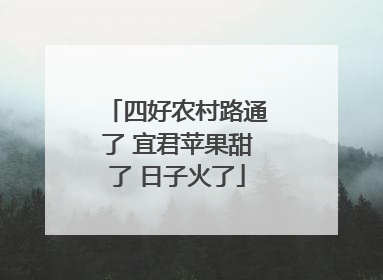 四好农村路通了 宜君苹果甜了 日子火了
