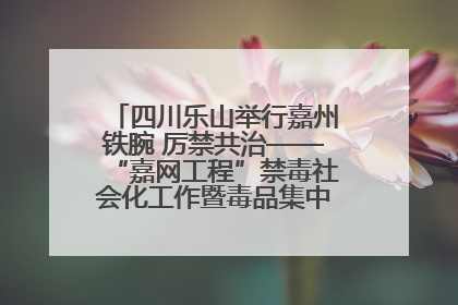 四川乐山举行嘉州铁腕 厉禁共治——“嘉网工程”禁毒社会化工作暨毒品集中销毁启动仪式