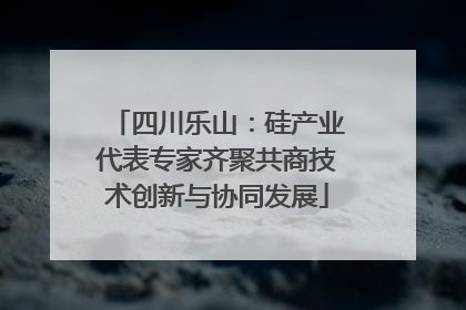 四川乐山：硅产业代表专家齐聚共商技术创新与协同发展