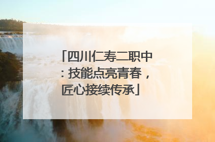 四川仁寿二职中：技能点亮青春，匠心接续传承