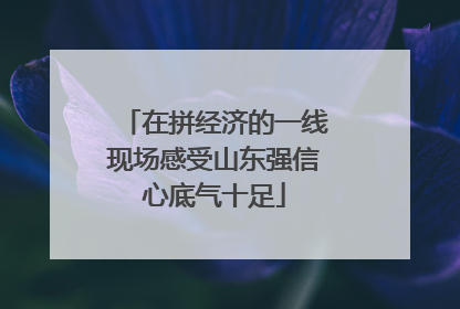 在拼经济的一线现场感受山东强信心底气十足