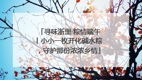 寻味浙里·粽情端午丨小小一枚开化碱水粽，守护那份浓浓乡情