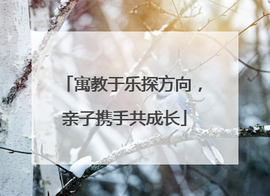 寓教于乐探方向，亲子携手共成长