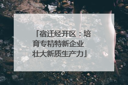 宿迁经开区：培育专精特新企业 壮大新质生产力