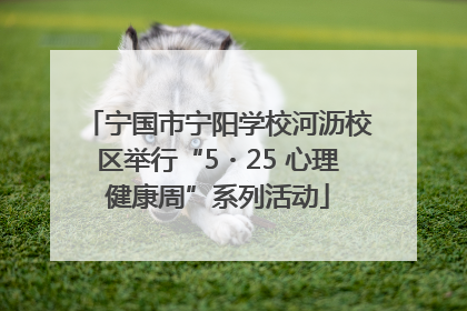 宁国市宁阳学校河沥校区举行“5・25 心理健康周”系列活动