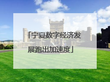 宁夏数字经济发展跑出加速度