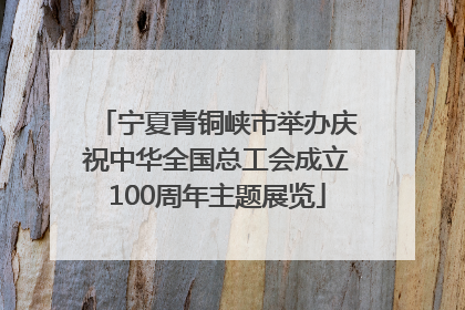 宁夏青铜峡市举办庆祝中华全国总工会成立100周年主题展览