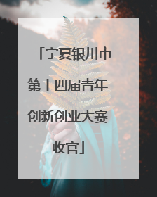 宁夏银川市第十四届青年创新创业大赛收官