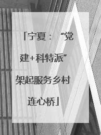 宁夏：“党建+科特派”架起服务乡村连心桥