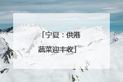 宁夏：供港蔬菜迎丰收