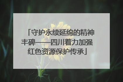 守护永续延绵的精神丰碑——四川着力加强红色资源保护传承