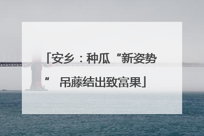 安乡：种瓜“新姿势” 吊藤结出致富果