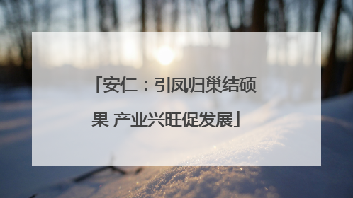 安仁：引凤归巢结硕果 产业兴旺促发展
