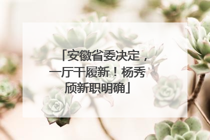 安徽省委决定，一厅干履新！杨秀颀新职明确