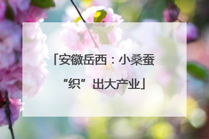 安徽岳西：小桑蚕“织”出大产业