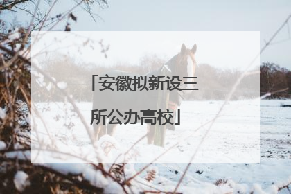 安徽拟新设三所公办高校