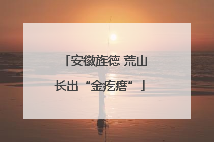 安徽旌德 荒山长出“金疙瘩”