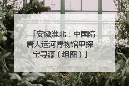 安徽淮北：中国隋唐大运河博物馆里探宝寻源（组图）