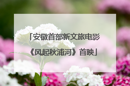 安徽首部新文旅电影《风起秋浦河》首映
