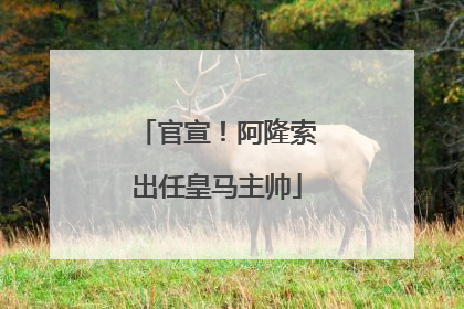 官宣！阿隆索出任皇马主帅