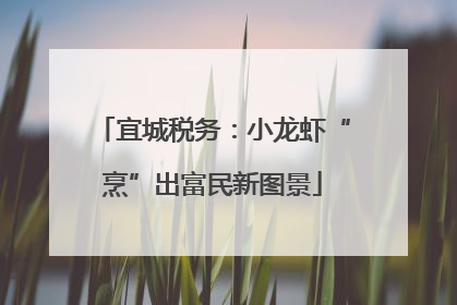 宜城税务：小龙虾“烹”出富民新图景
