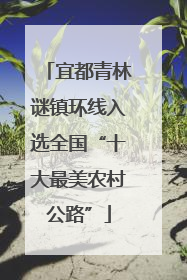 宜都青林谜镇环线入选全国“十大最美农村公路”