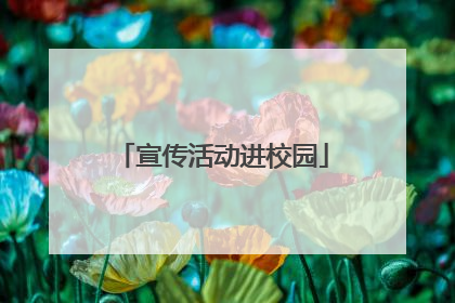 宣传活动进校园