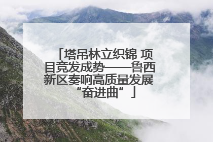 塔吊林立织锦 项目竞发成势——鲁西新区奏响高质量发展“奋进曲”