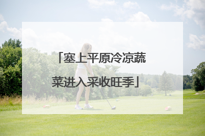 塞上平原冷凉蔬菜进入采收旺季