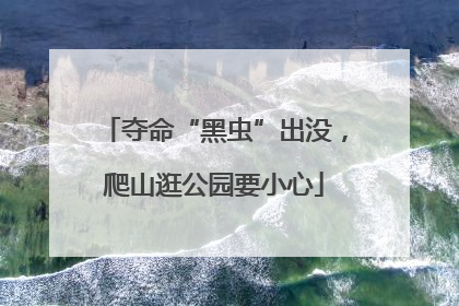 夺命“黑虫”出没，爬山逛公园要小心