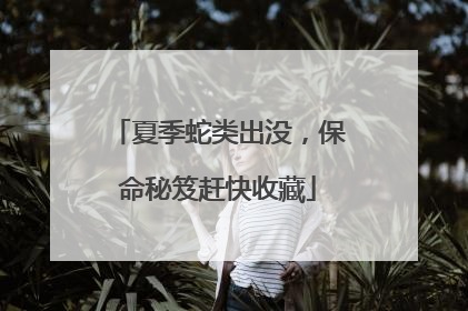夏季蛇类出没，保命秘笈赶快收藏