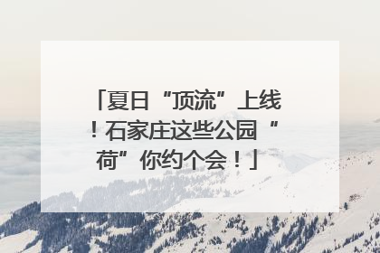 夏日“顶流”上线！石家庄这些公园“荷”你约个会！