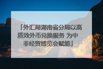外汇局湖南省分局以高质效外币兑换服务 为中非经贸博览会赋能