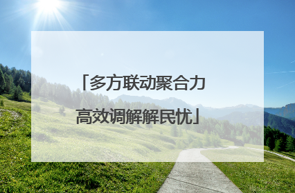 多方联动聚合力 高效调解解民忧