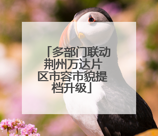 多部门联动 荆州万达片区市容市貌提档升级