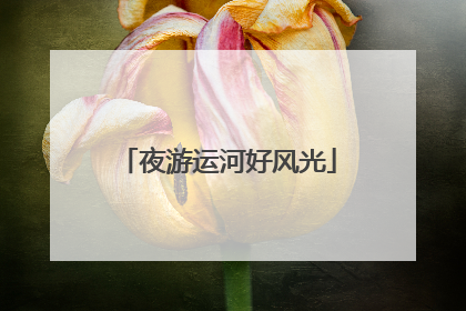 夜游运河好风光