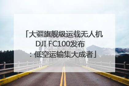 大疆旗舰级运载无人机DJI FC100发布：低空运输集大成者