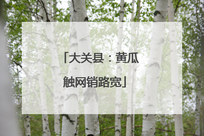大关县：黄瓜触网销路宽